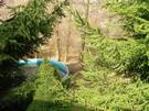 garten_des_wochenendhauses.jpg